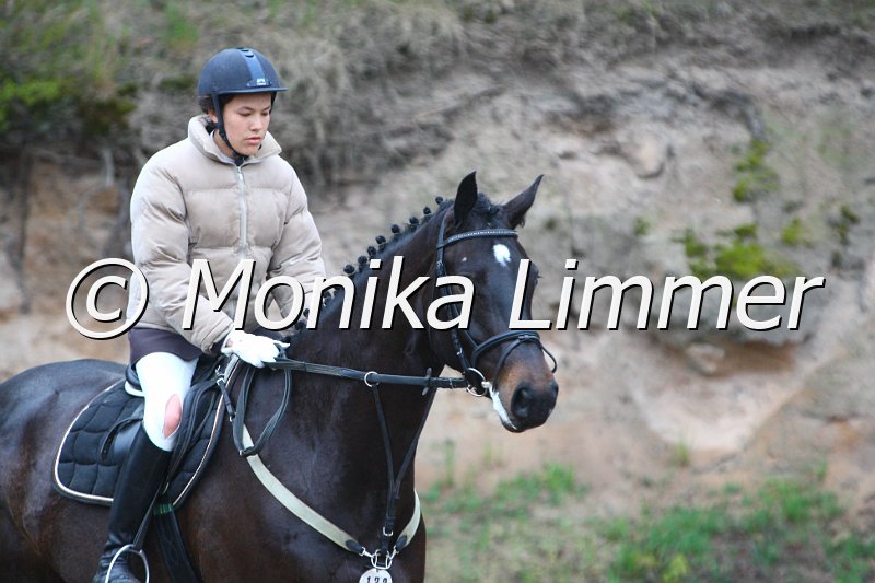 005L4640_Jack Pot_Springpferde A xx.JPG